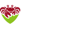 深圳SEO推广